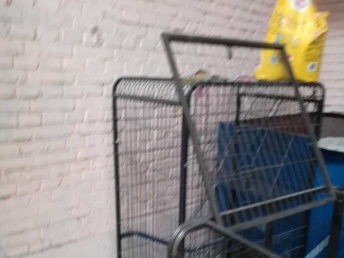 99成新貓用品優惠出售，附北京寵物食品選購指南