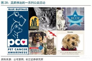 藍爵寵物食品 卓越品質的深度解析